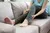 Leg Pain