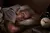 How Does Shoulder Bursitis Affect Your Sleep?
